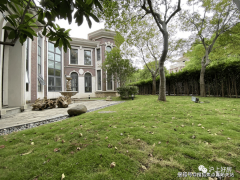 整个小区采用人车分